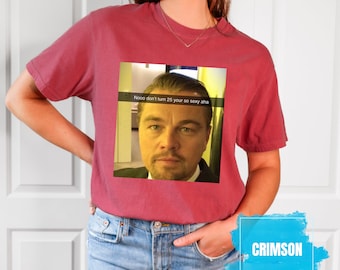 Comfort Colors Leonardo DiCaprio Meme Shirt, 25th Birthday Unisex Tee
