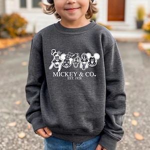 May include: A dark gray sweatshirt with a white graphic of Mickey Mouse, Minnie Mouse, Donald Duck, Goofy, and Pluto. The graphic includes the text "Mickey & Co. Est. 1928".