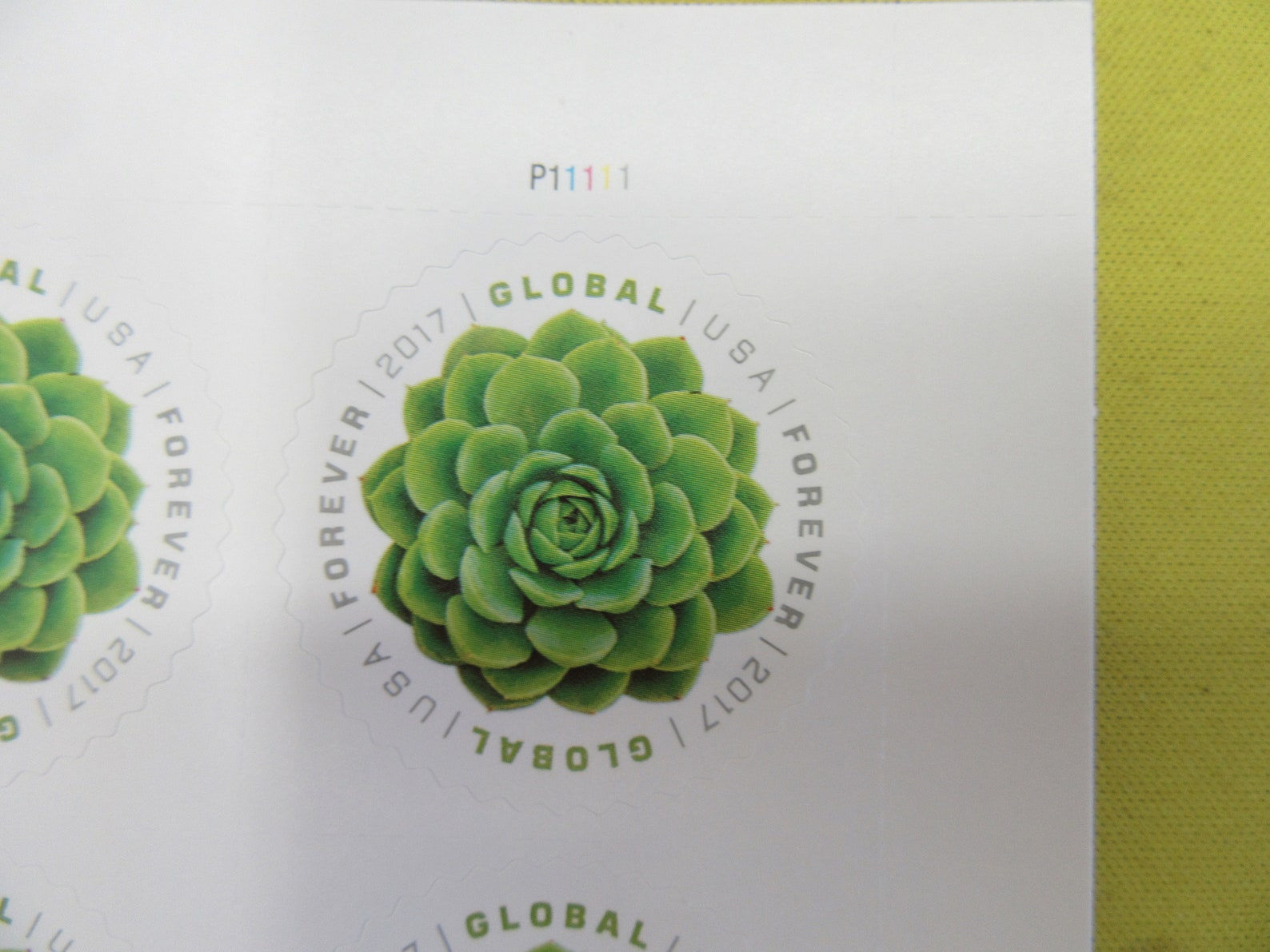 10 USPS 2017 Global Forever Stamps Green Succulent Peel & Etsy Singapore
