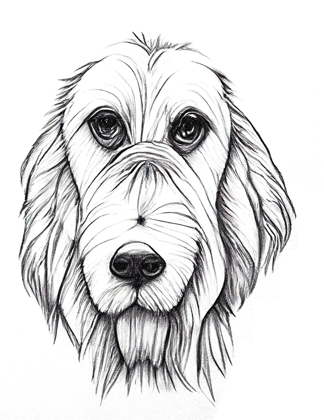 Cute dogs colouring pages big bundle of 10 images to print and colour