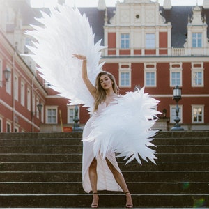Moving wings from Victoria secret wings, Angel dance wings costume for photoshoot for bride, wings for dance perfomance cosplay costume