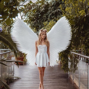 Giant angel wings -  Italia