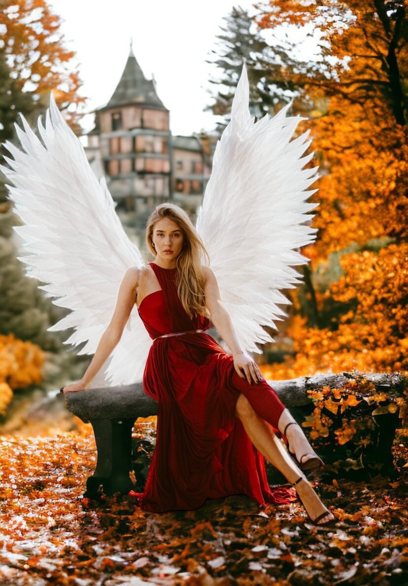 Ailes D'ange En Plumes Roses - Accessoire Déguisement, Cosplay, Fête, Noël, Photo - Taille Env. 45x45 Cm