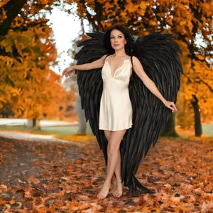 Black Angel Wings Costume, Foam EVA Cosplay, Halloween Party Accessory