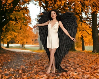 Black Angel Wings Costume, Foam EVA Cosplay, Halloween Party Accessory