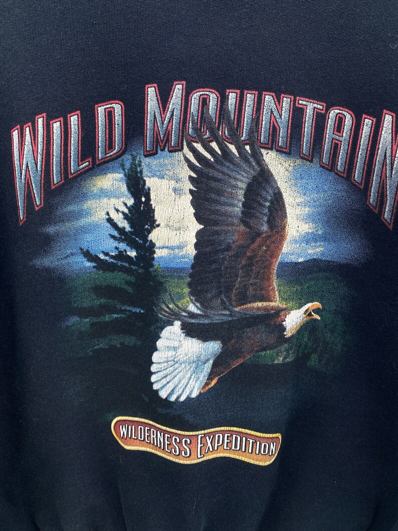 Może przedstawiać: Czarna bluza z nadrukiem graficznym orła lecącego nad pasmem g&oacute;rskim. Tekst "WILD MOUNTAIN" jest nadrukowany na czerwono i biało nad orłem. Tekst "WILDERNESS EXPEDITION" jest nadrukowany na złoto pod orłem.