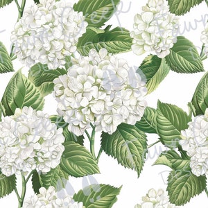 May include: A seamless pattern featuring white hydrangea flowers and green leaves on a white background.
