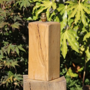 May include: A wooden lamp base with a natural wood finish and a brass lamp socket. The base is made from a single piece of wood with a rustic, knotty texture. The lamp is sitting on a wooden table.