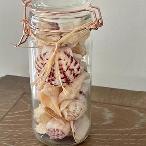 May include: A glass jar with a copper lid and a copper wire handle filled with seashells of various sizes and colors. The seashells are a mix of white, pink, and brown.
