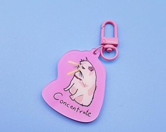 Cat Concentrate Keychain, Kawaii Kitty Key Ring, Cute Cat Lover Gift, Cat Mom Gift, Pet Owner Accessories