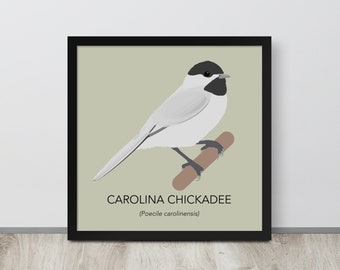 Carolina Chickadee Illustration Print – Minimalistische Carolina Chickadee Illustration Poster Print