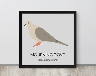 Mourning Dove Illustration Print –  Minimalist Mourning Dove Illustration Poster Print