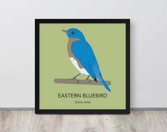 Östlicher Blauvogel Illustration Druck – Minimalistischer Blauvogel Illustration Poster Print