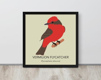 Vermilion Fliegenschnäpper Illustration Print – Minimalistische Vermilion Fliegenschnäpper Illustration Poster Print
