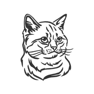 Cat Embroidery design Instant Download Digital File v1