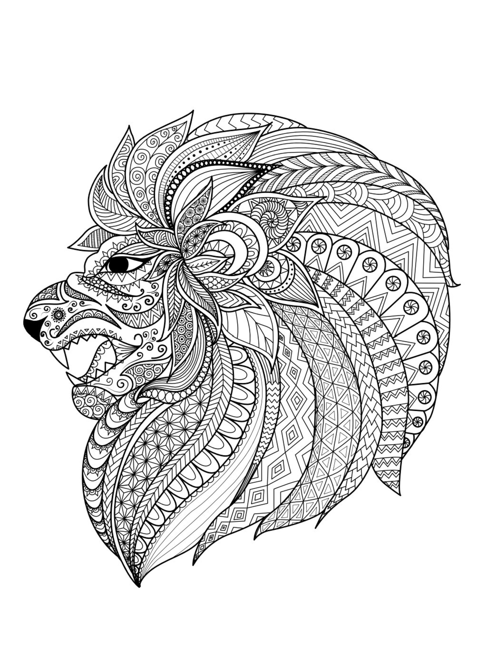 Amazon KDP Interior Adult Coloring Pages Bundle 800 Pages for Digital ...