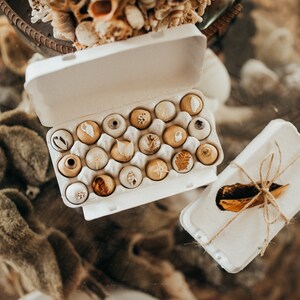 Seed Bomb Mega Pack