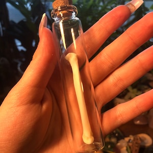 Coyote Paw Bone Oddity Jar