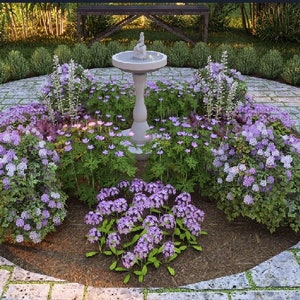 Cool and Colorful by Plant By Number. Landscape Design Plan