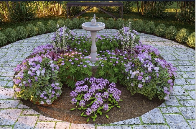 Cool and Colorful by Plant By Number. Landscape Design Plan