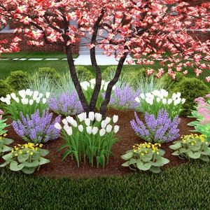 Seasonal Charm by Plant By Number. Landscape Design Plan