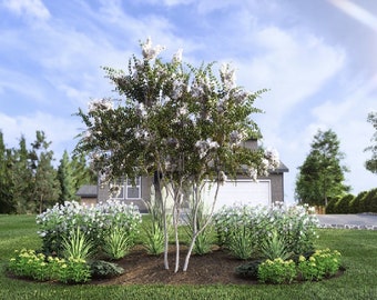 Sun and Surf by Plant By Number. Landscape Design Plan