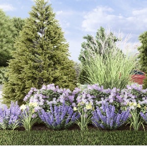 Blissful Boundary 2 by Plant By Number. Landscape Design Plan