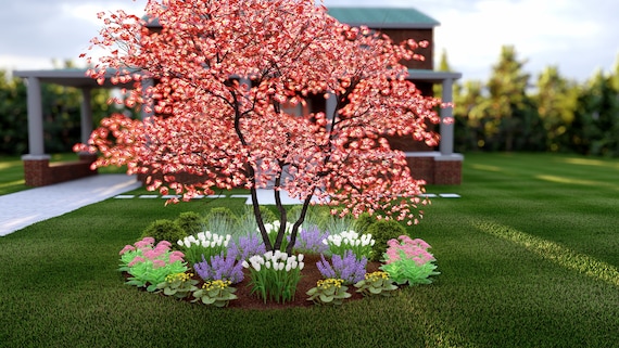 Seasonal Charm by Plant by Number. Landscape Design Plan, 14