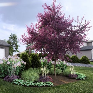 Afternoon Siesta by Plant By Number. Landscape Design Plan, Shade Tolerant