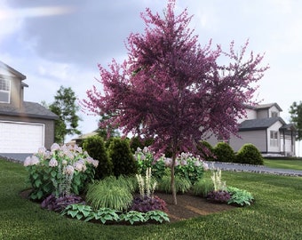 Afternoon Siesta by Plant By Number. Landscape Design Plan, Shade Tolerant