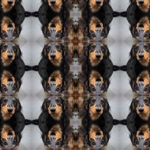 3x Miniature Dachshund Digital Paper