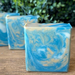 The Perfect  Man Soap