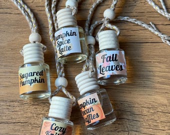 Fall Car Diffuser