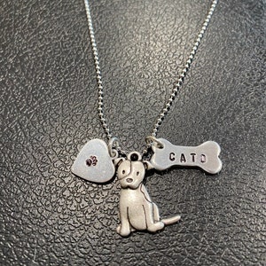 Jack Russell Terrier