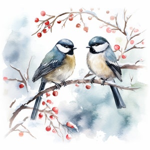 Aquarel vogels in de sneeuw - 10 hoogwaardige JPG clipartafbeeldingen, wintervogels, aquarel vogelschilderijen, besneeuwde vogelcollectie, vogelkunst