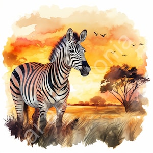 Watercolor Zebra 10 JPGs clipart, High Quality, Digital Planner, Paper crafts, Watercolor, Commercial use, Digital Download