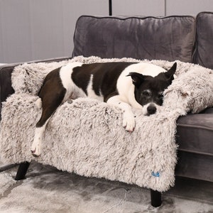 Pet mat for couch online