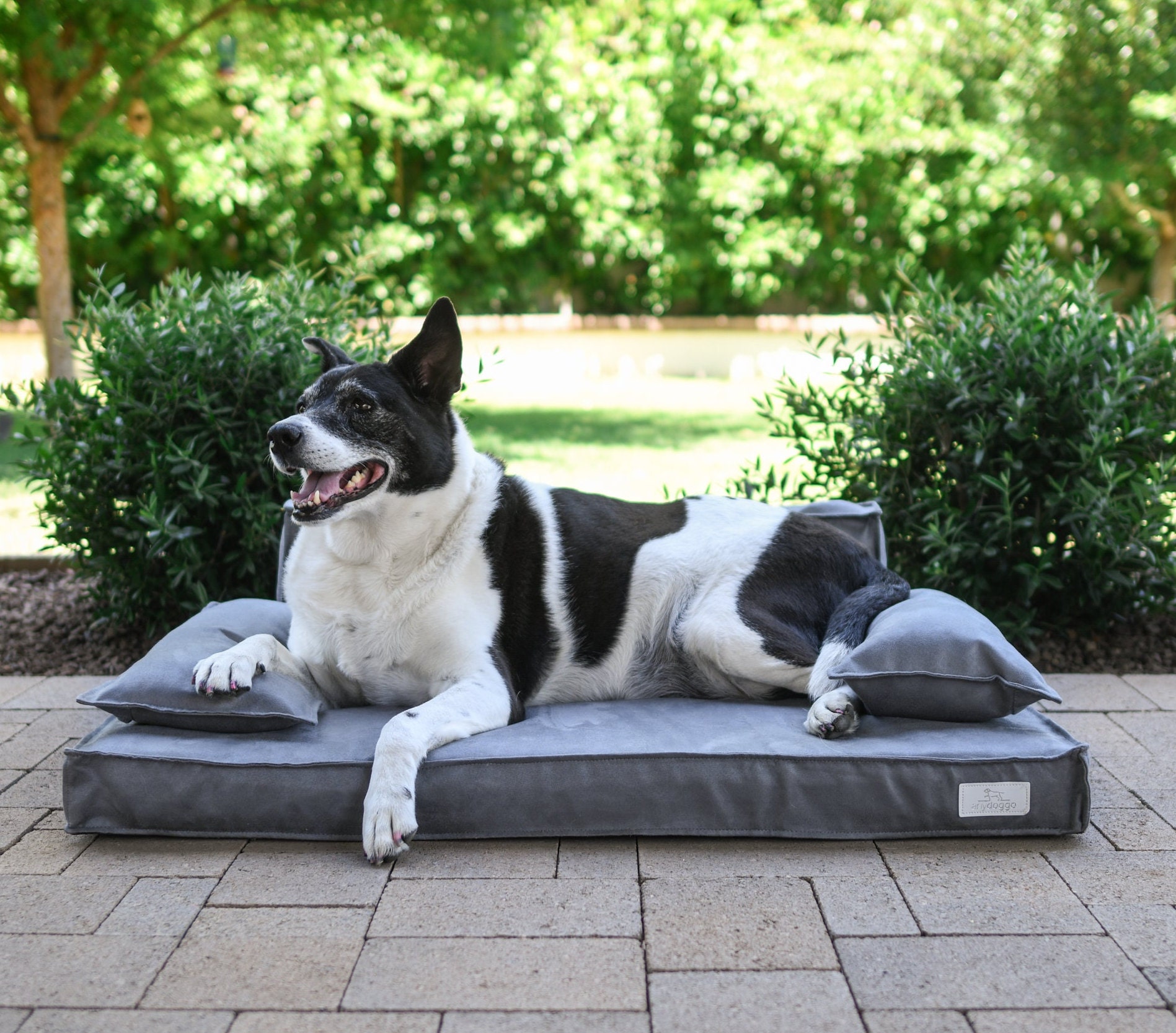 High End Luxury Orthopedic Memory Foam Dog Bed Water Etsy
