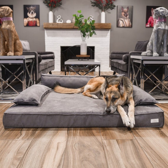 Orthopedic Dog Bed Memory Foam Dog Bed for a Luxury Sleeping Experience Etsy