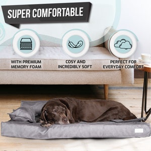 Large Breed Dog Orthopedic Dog Bed, Memory Foam Dog Bed for a Luxury ... - Large Breed Dog Bed With Foam And Memory Foam Design