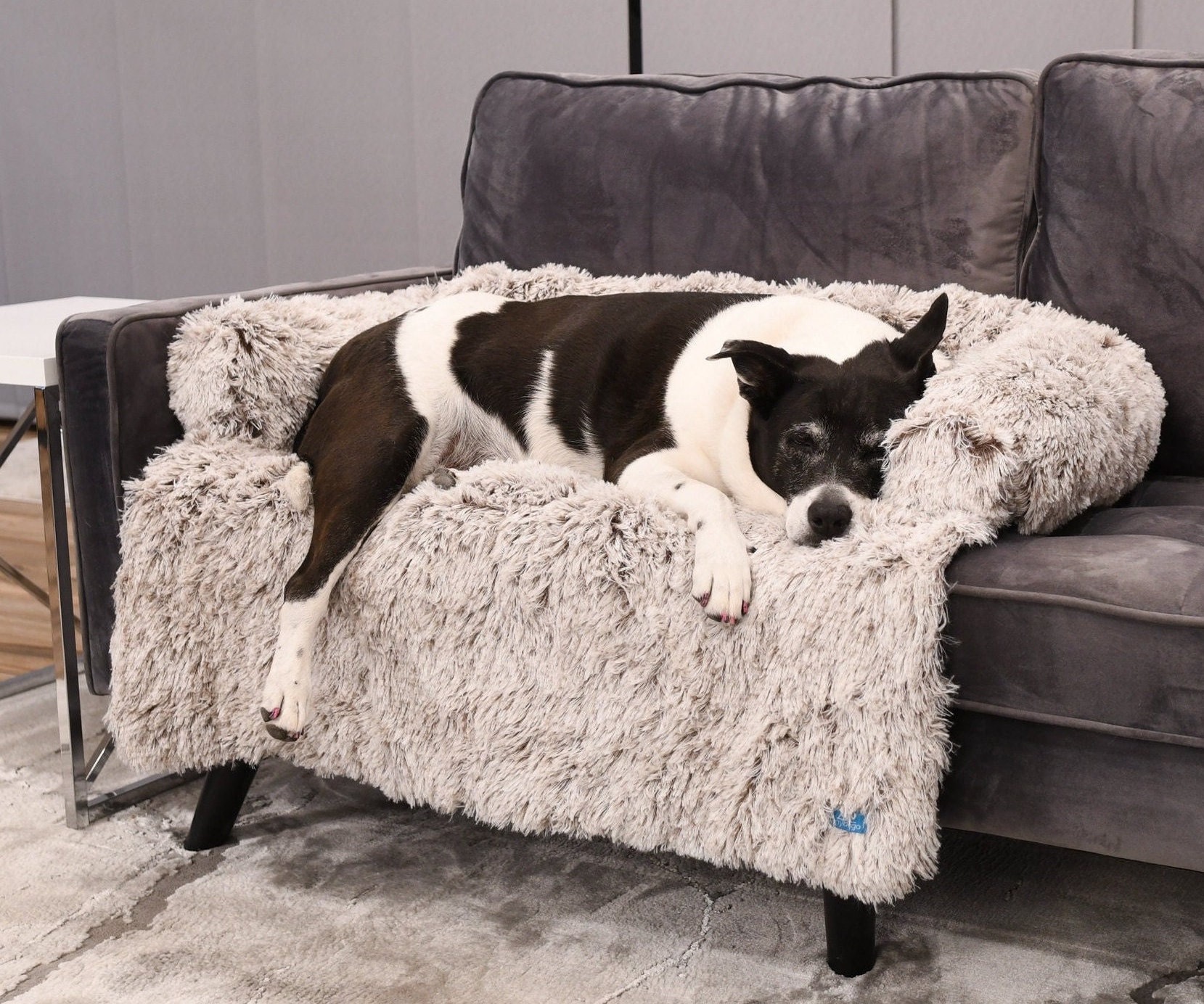 Hund couch abdeckung - .de