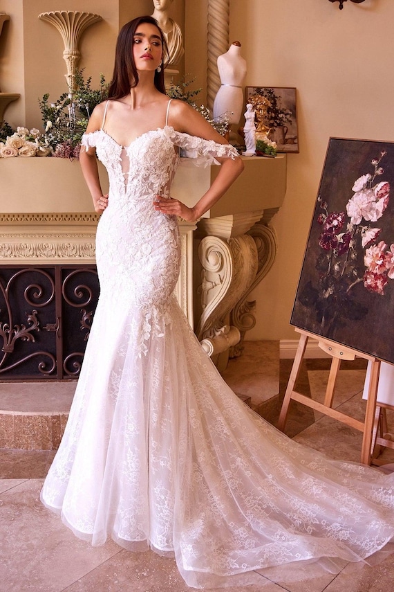 sheer mermaid wedding dress Scoop-Neck Long-Sleeves Allover Lace Applique Sheer Mermaid Wedding Dress with Sweep Train White / US10