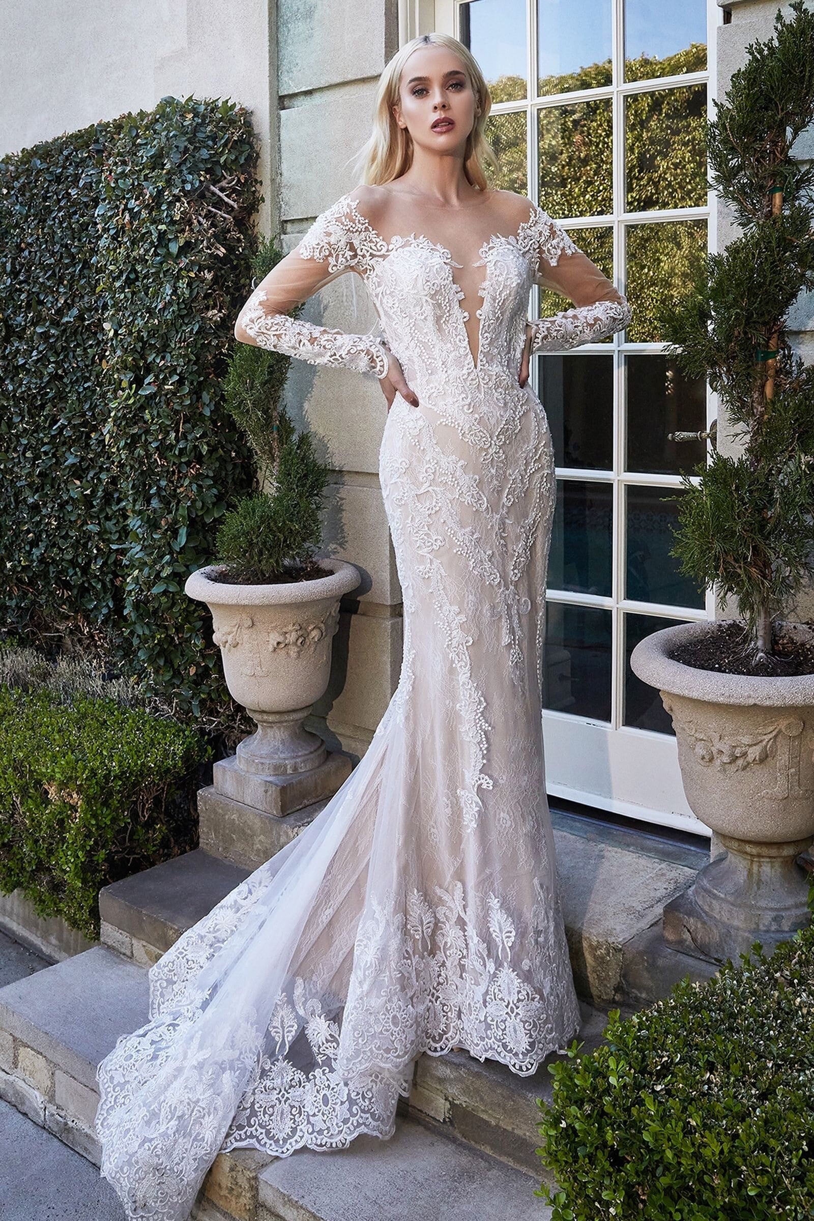 Long Sleeve Fitted Lace Wedding Dress 