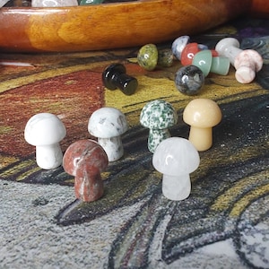 Mini Mushroom Carvings set of 5