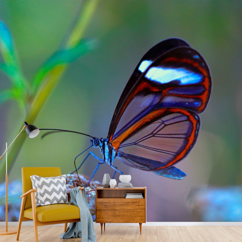 Peel and Stick Wallpaper Wall Murals Butterfly Wall Mural - Etsy