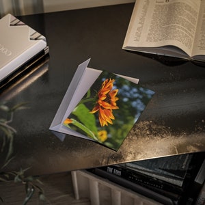 Sunflower - Postcard