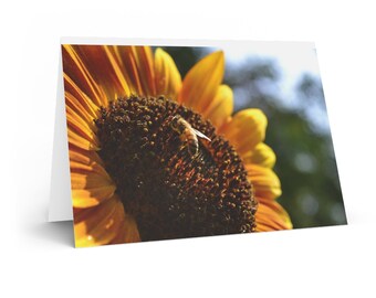 Folded Greeting Cards - Honeybee on Sunflower