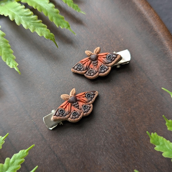 Brown Moth Hair Clip