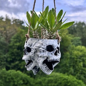 May include: A hanging planter shaped like a cluster of three white and grey skulls with dark, recessed eye sockets and open mouths. The planter is suspended by brown twine and contains a green plant with spiky, succulent-like leaves.