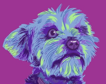 May include: A close-up of a small, fluffy dog with blue and green fur. The dog is wearing a brown leather collar with a silver tag. The background is a solid purple color.